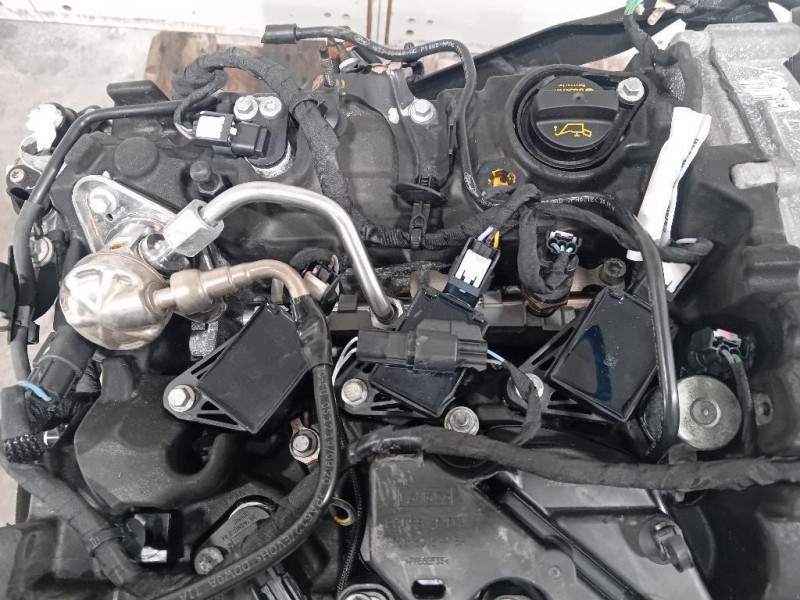 Motore Completo B7DA 125 CV 91 KW Ford Focus V 2018