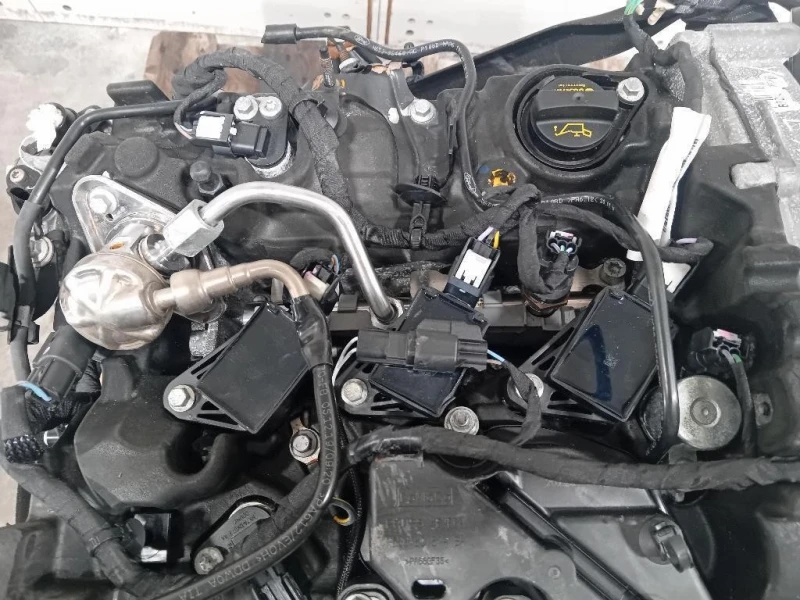 Motore Completo B7DA 125 CV 91 KW Ford Focus V 2018