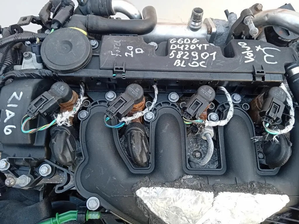 Motore Completo G6DG 136 CV 100 KW Ford KUGA I 2008