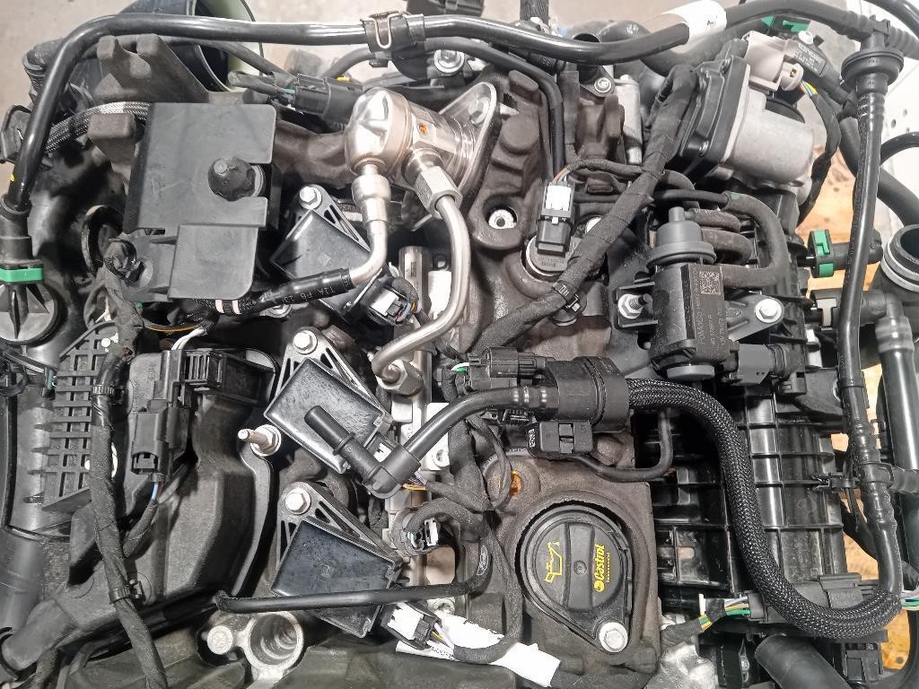 Motore Completo BZJB 125 CV 91KW Ford PUMA II 2019