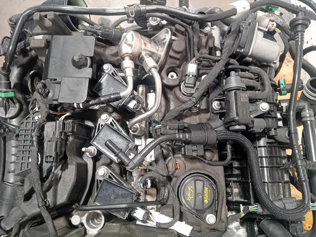 Motore Completo BZJB 125 CV 91KW Ford PUMA II 2019