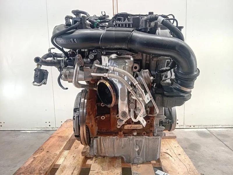 Motore Completo BZJB 125 CV 91KW Ford PUMA II 2019