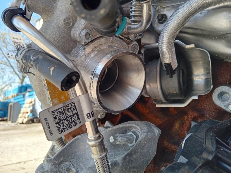 Motore Completo YN1X 213CV 150KW Ford Ranger IV 2019