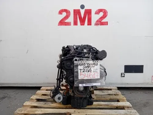 Motore Completo TZGA 95 CV 69 KW Ford Tourneo Connect II 2014