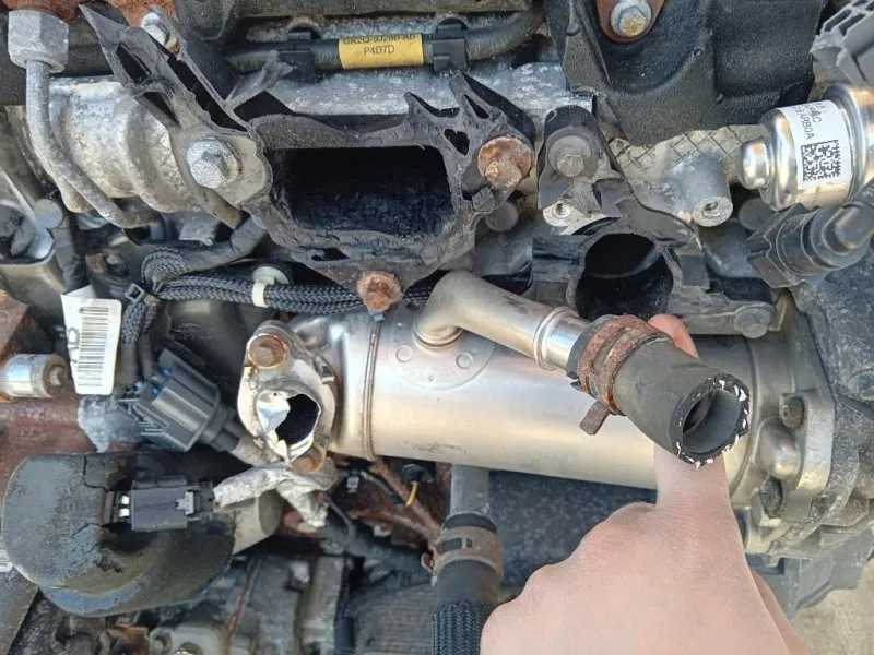 Motore Completo YMF6 131CV 96KW Ford Tourneo Custom I 2013