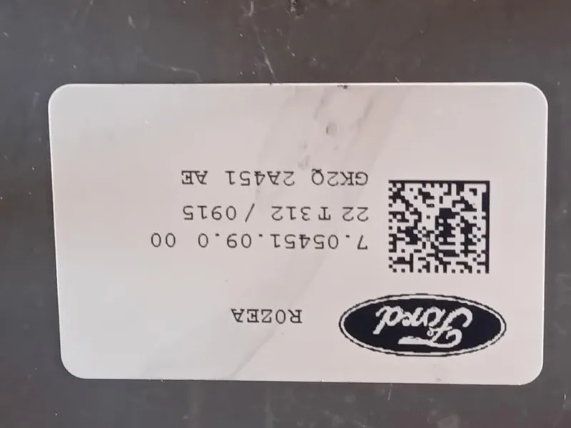 Motore Completo BLFB 170 CV 125KW Ford Transit VI 2019