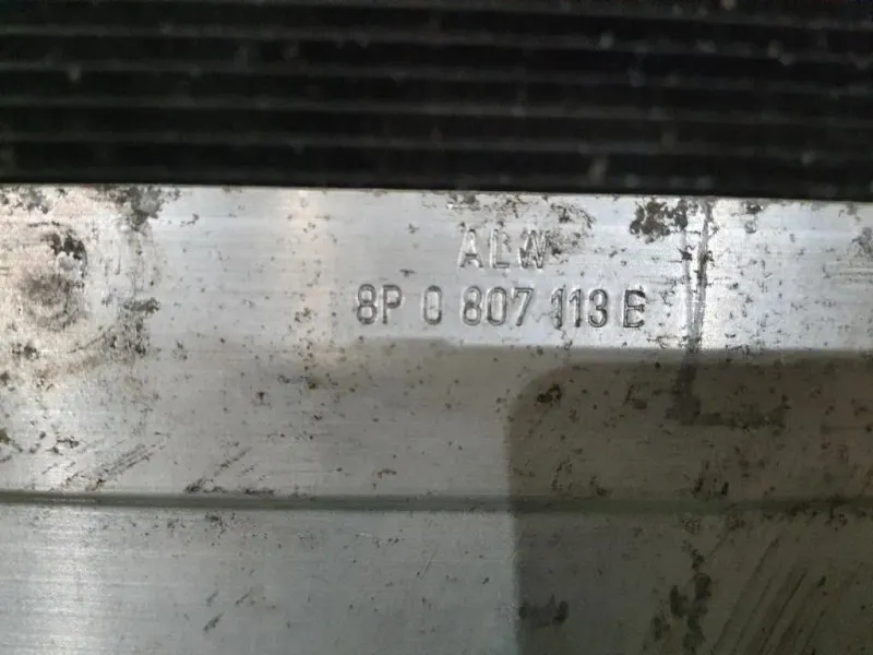 Rivestimento Frontale ANT Audi A3 8P1 2004