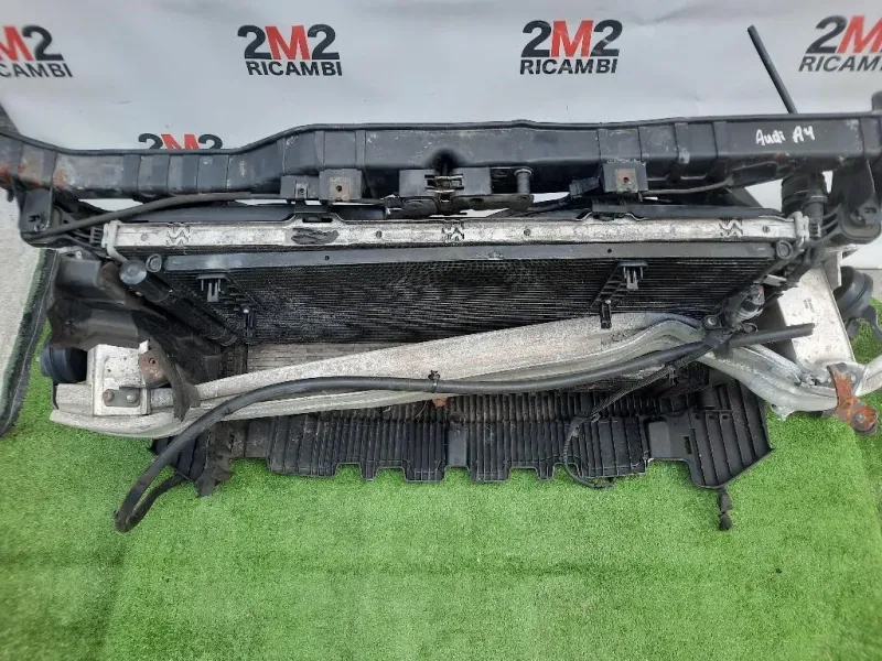 Rivestimento Frontale ANT 8K0805594L Audi A4 8K2 2008