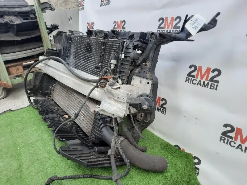 Rivestimento Frontale ANT 8K0805594L Audi A4 8K2 2008