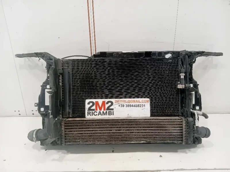 Rivestimento Frontale ANT RIVESTIMENTO FRONTALE ANT Audi A5 8TA Sportback 2012