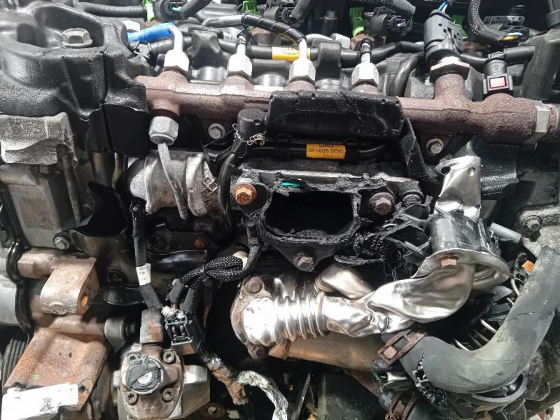 Motore Completo YLF6 105 CV 77 KW Ford Transit Custom I 2013