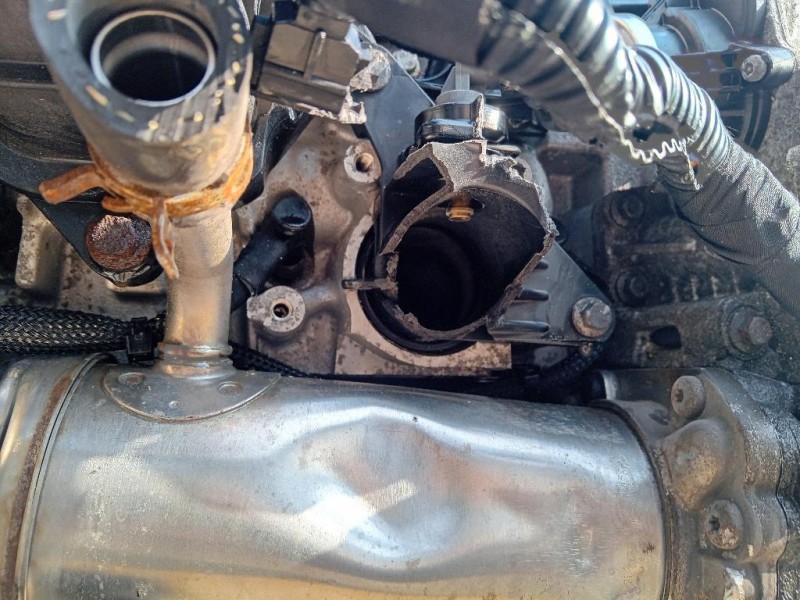 Motore Completo BJFB 105 CV 77 KW Ford Transit Custom I 2018