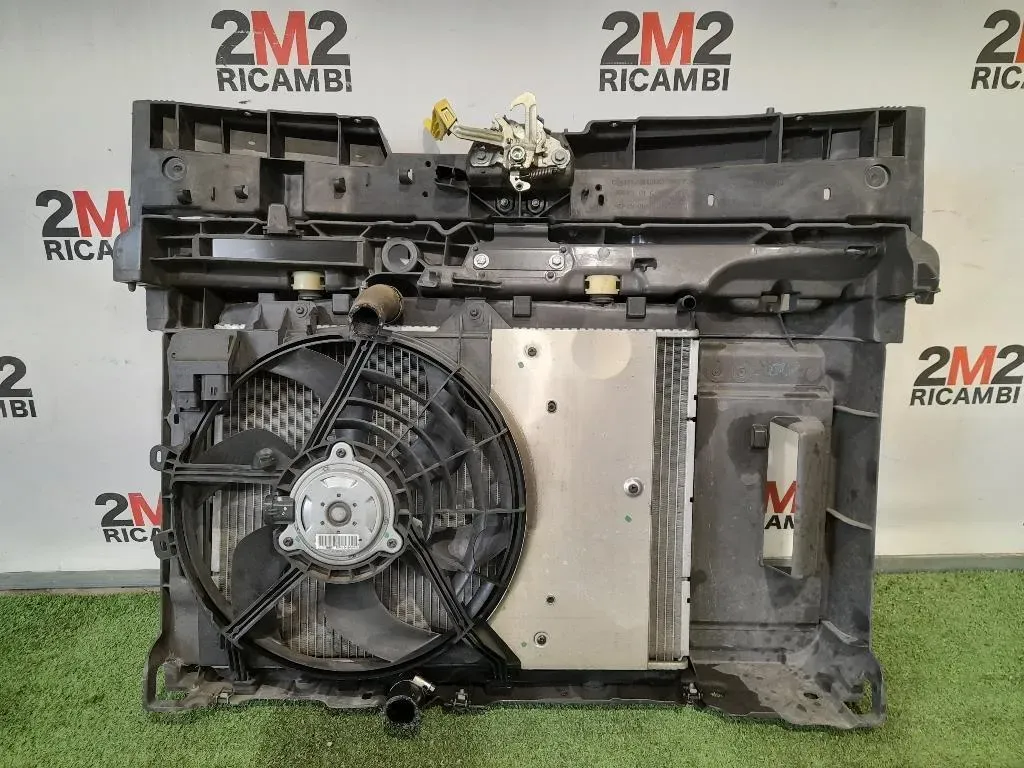 Rivestimento Frontale ANT 9801492180 9682895680 Citroen C3 Picasso 2013