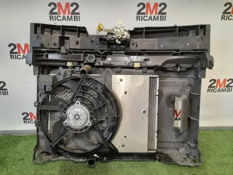 Rivestimento Frontale ANT 9801492180 9682895680 Citroen C3 Picasso 2013