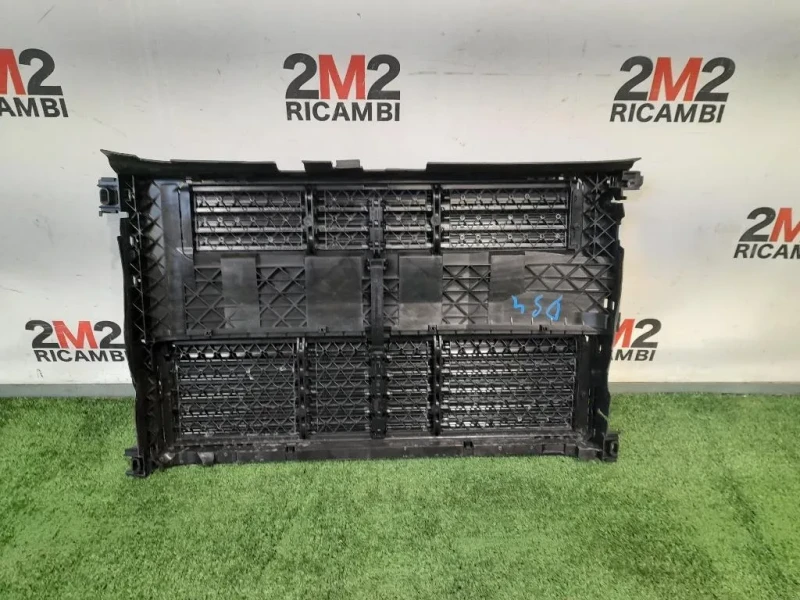 Rivestimento Frontale ANT 9817002880 Citroen DS4 I 2016