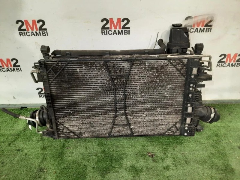 Rivestimento Frontale ANT  Opel Insignia A SW 2009