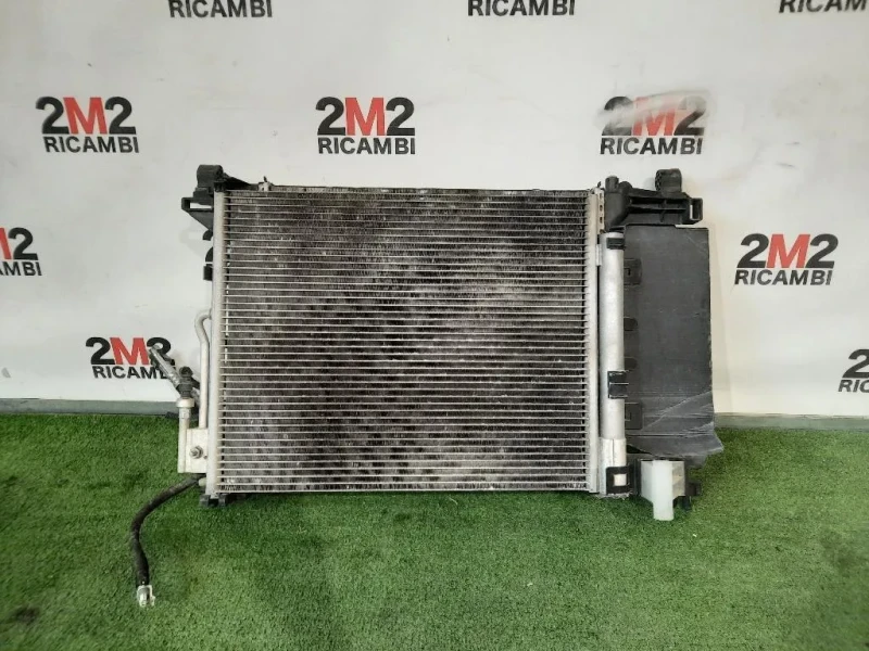 Rivestimento Frontale ANT 13330994 Opel Meriva B 2010