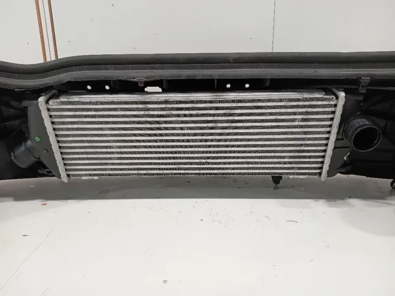 Rivestimento Frontale ANT RIVESTIMENTO FRONTALE ANT Opel Vivaro A 2007