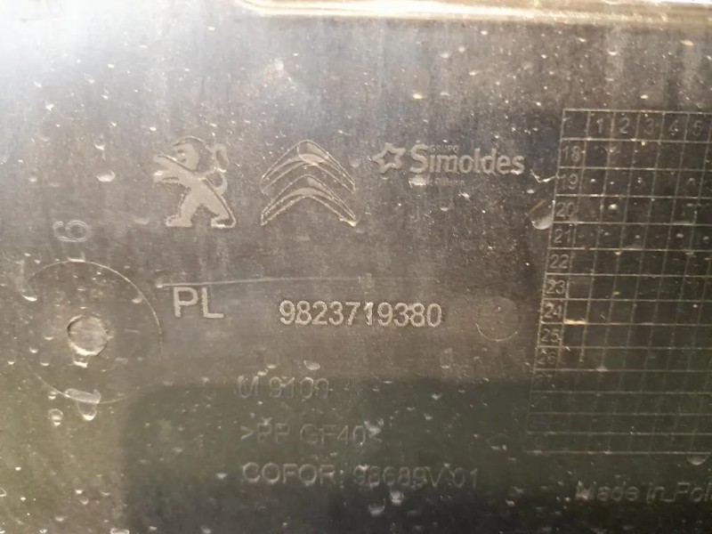 Rivestimento Frontale ANT 9823719380 9827970180 Peugeot 208 II 2019