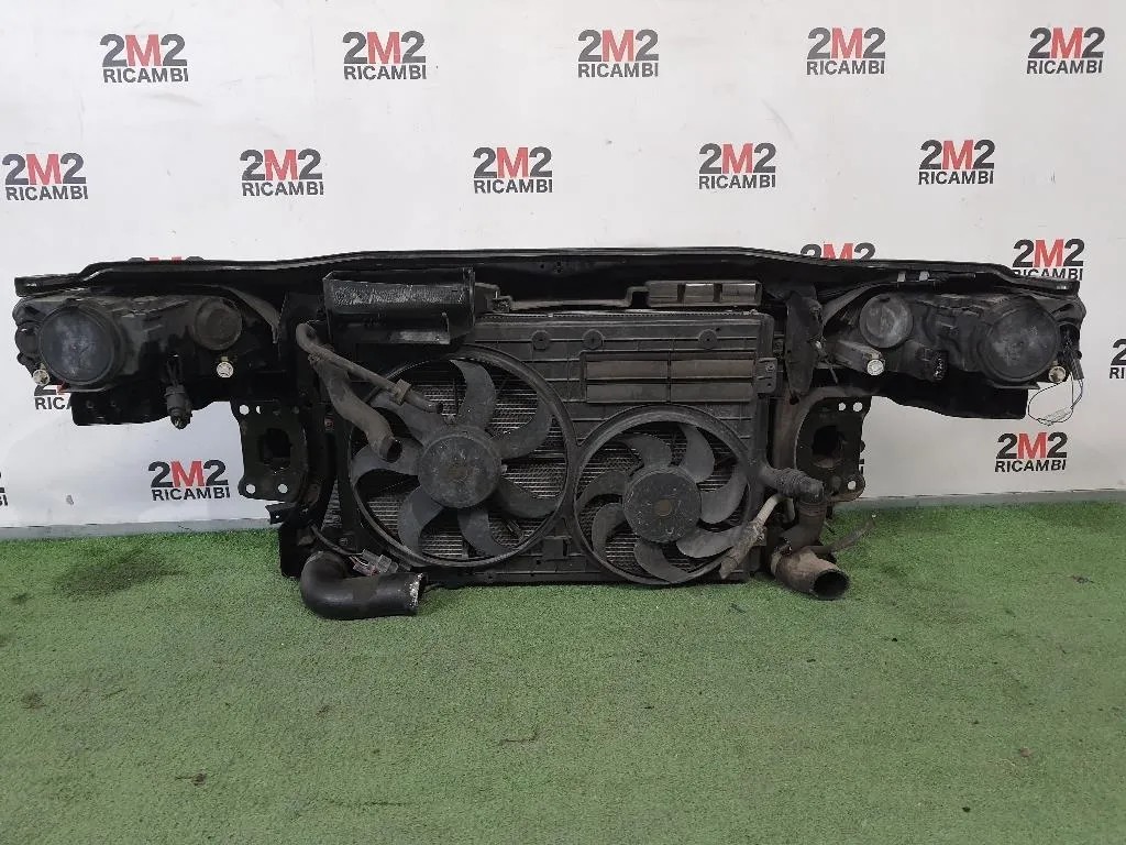 Rivestimento Frontale ANT  Volkswagen Passat V 2005