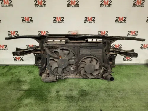 Rivestimento Frontale ANT 3C0805588H Volkswagen Passat V 2005