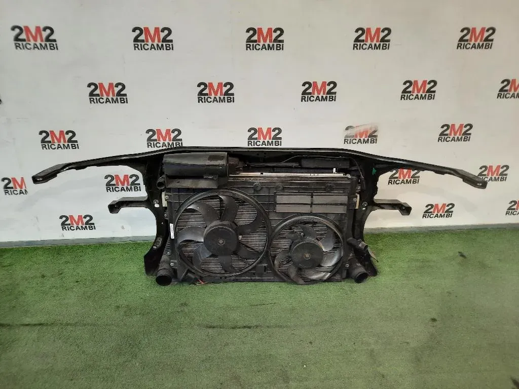 Rivestimento Frontale ANT Volkswagen Passat VI 2011