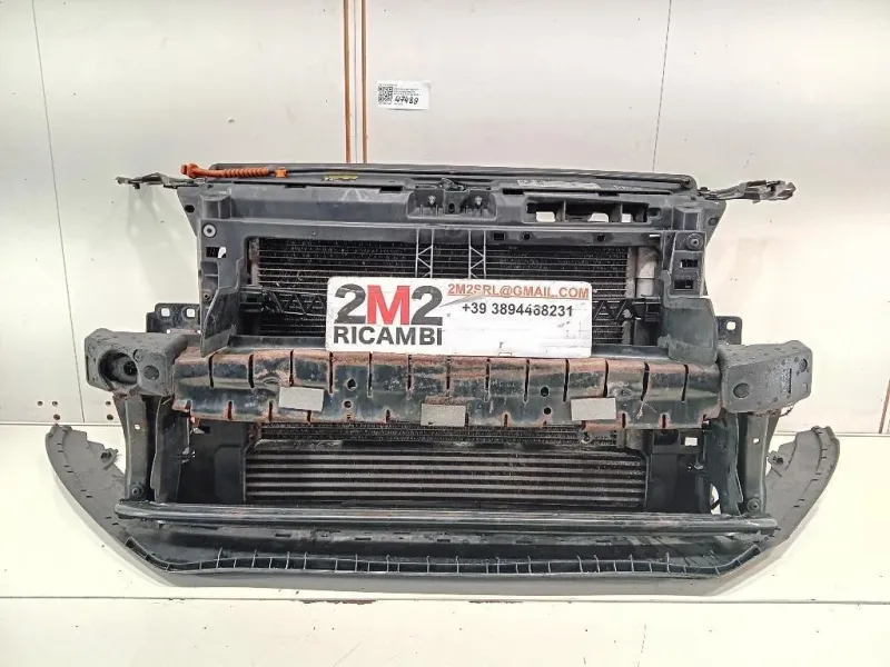 Rivestimento Frontale ANT 6R0 805 915 C Volkswagen POLO V 2006