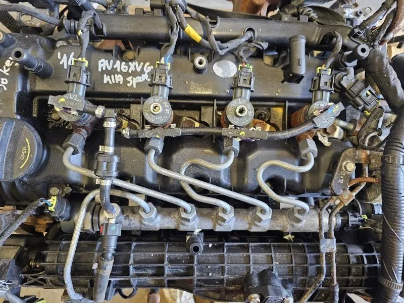 Motore Completo D4FD 116 CV 85 KW Kia Sportage III 2010