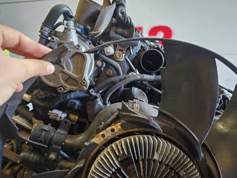 Motore Completo 368DT 272 CV 200 KW Land Rover Range Rover Sport I 2005