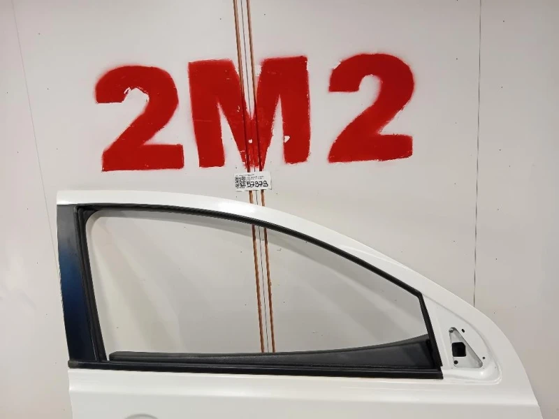 Porta ANT DX H0100EY1MC Nissan Qashqai+2 2010