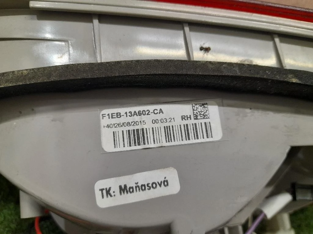 Fanale INT POST DX F1EB13A602CA Ford Focus IV SW 2014