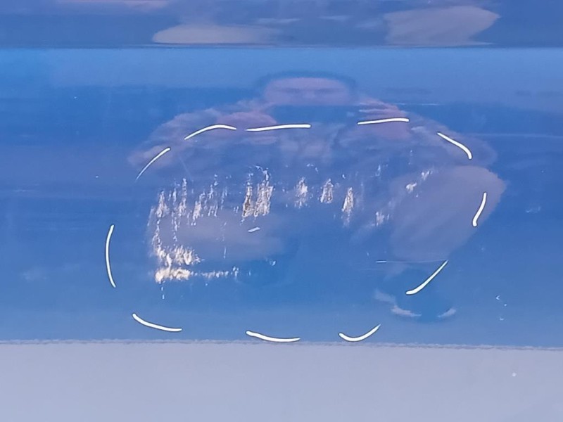 Porta ANT SX 6V0831055A Skoda Fabia NJ3 2018