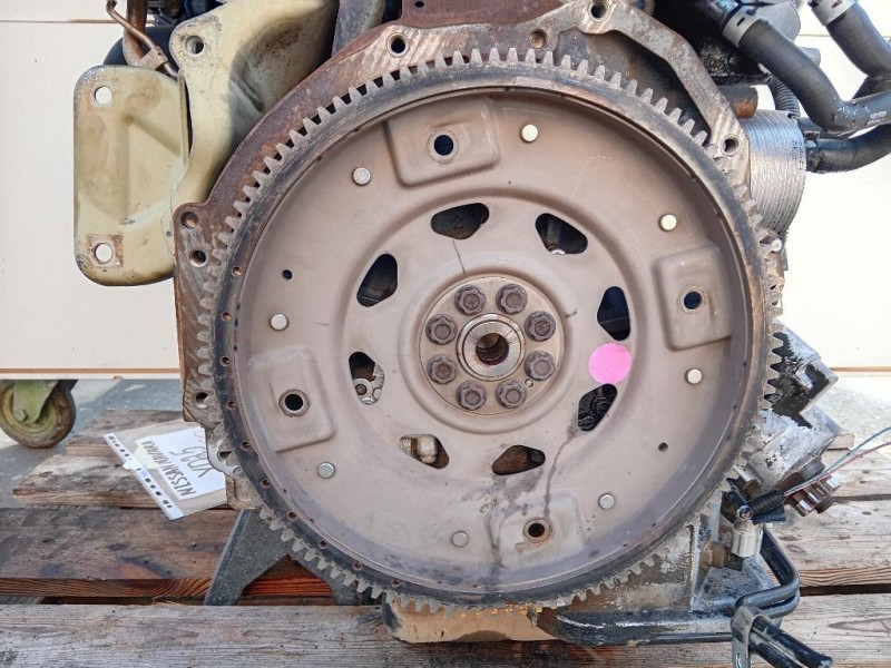 Motore Completo YD25 190 CV 141 KW Nissan Navara 2010