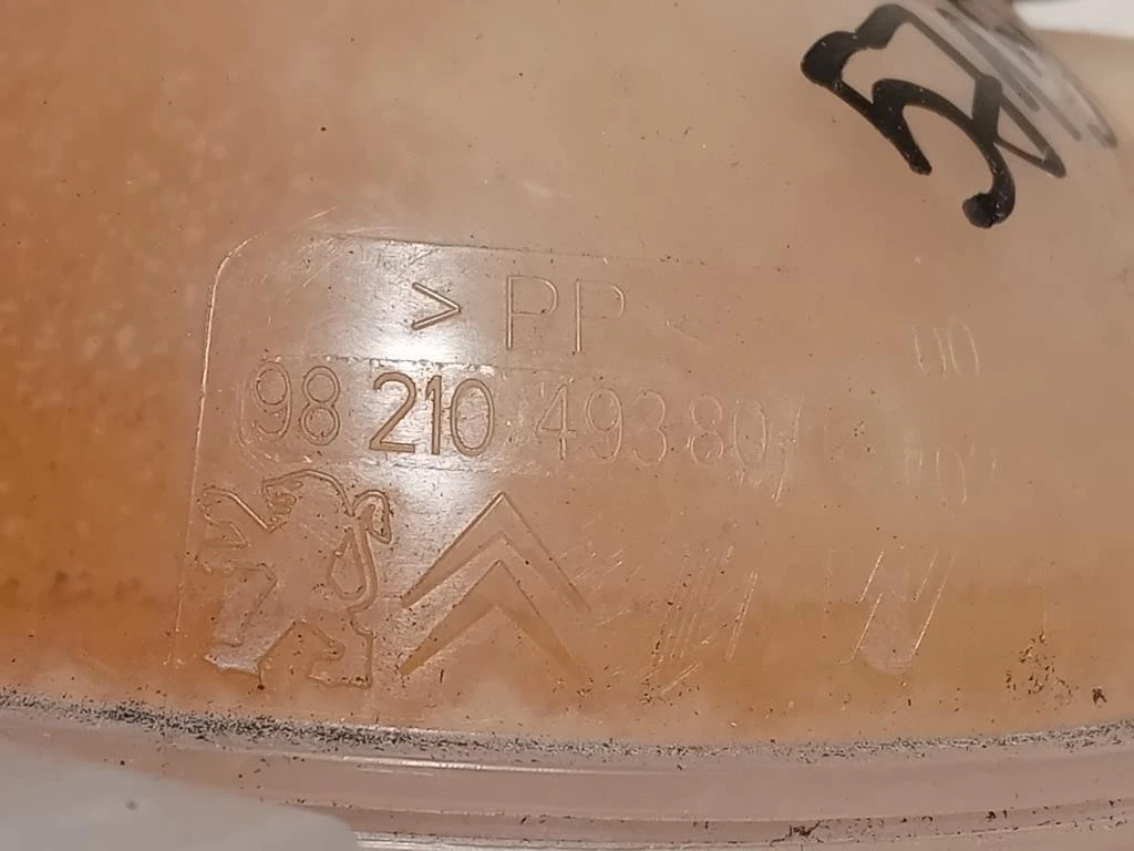 Vaschetta Acqua 9821049380 Opel Vivaro C 2019