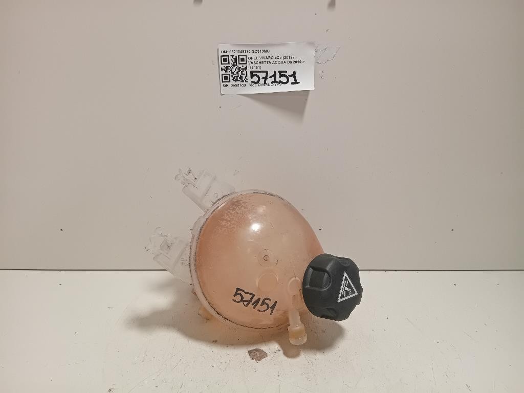 Vaschetta Acqua 9821049380 Opel Vivaro C 2019