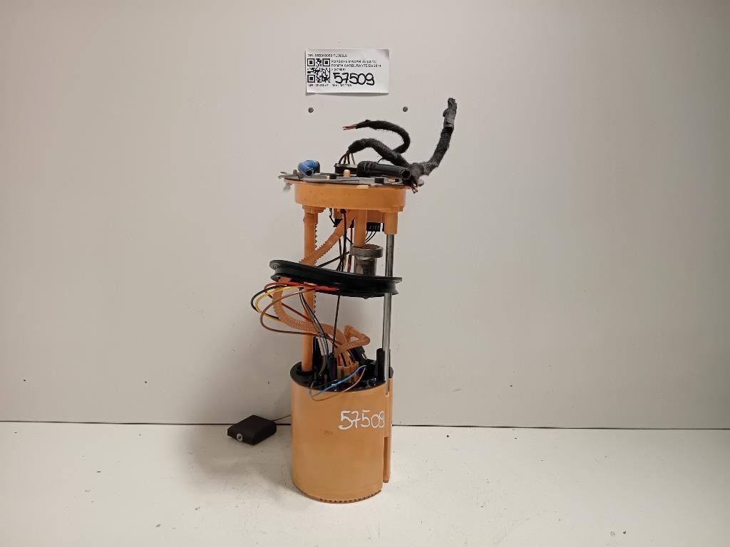 Pompa Carburante 95B919050 Porsche Macan I 2014