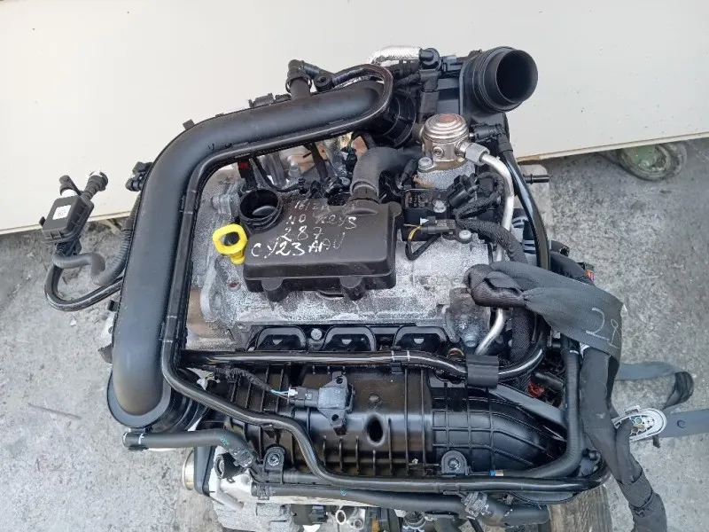 Motore Completo DLAA 110 CV 80 KW Seat Ibiza VI KJ1 2017