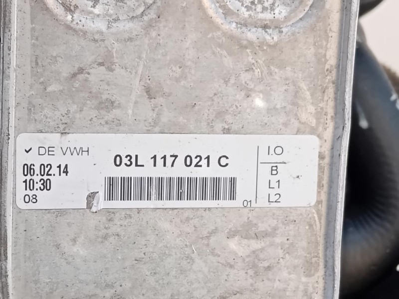 Motore Completo CAYB 90 CV 67 KW Skoda Fabia 545 SW 2010