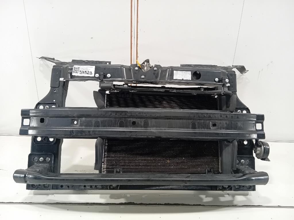 Rivestimento Frontale ANT RIVESTIMENTO FRONTALE ANT Fiat 500 II 2015