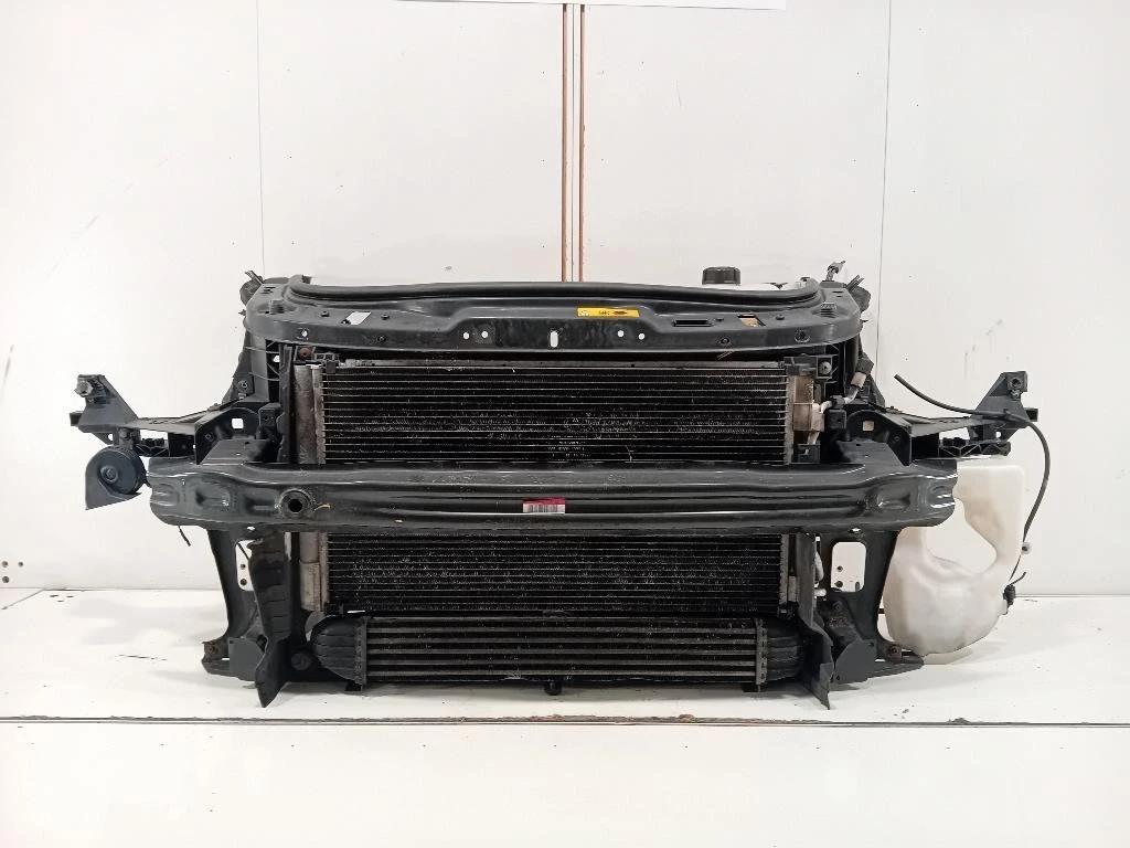 Rivestimento Frontale ANT RIVESTIMENTO FRONTALE ANT Mini MINI Cooper R56 2007