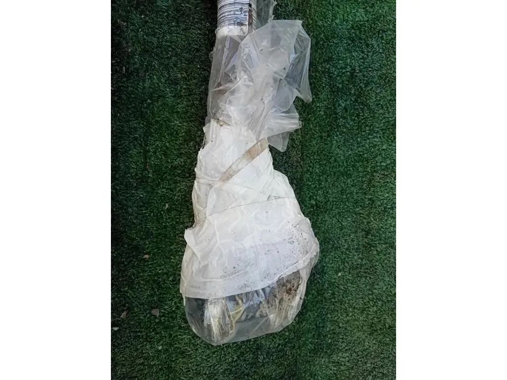 Semiasse ANT DX 51787862 Fiat 500 II 2008