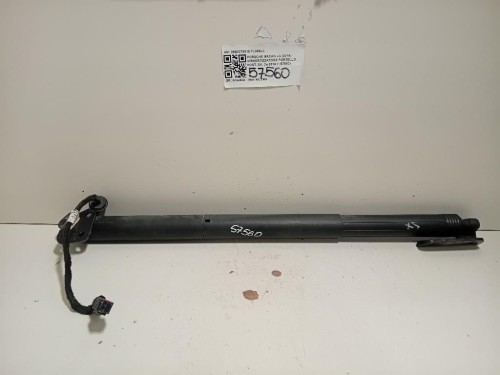 Ammortizzatore Portello POST SX