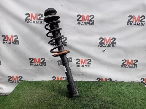 Ammortizzatore POST SX