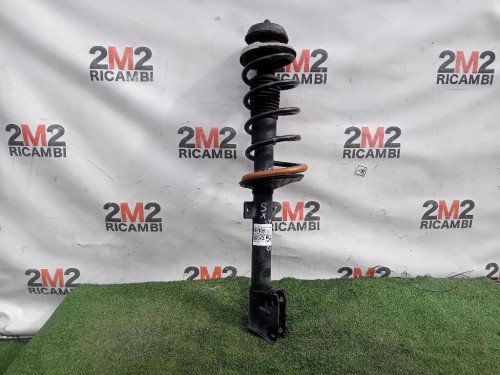 Ammortizzatore POST SX