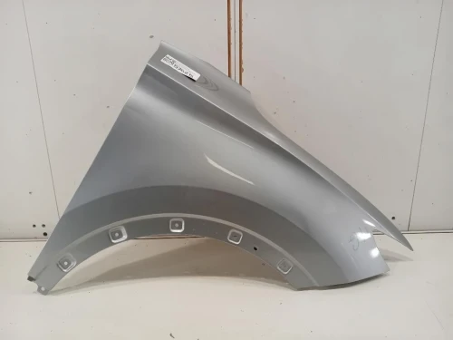 Parafango ANT DX 10292956SEPP Mg ZS II 2020