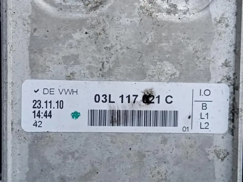 Motore Completo CAYB 90 CV 66 KW Volkswagen GOLF VI 2009