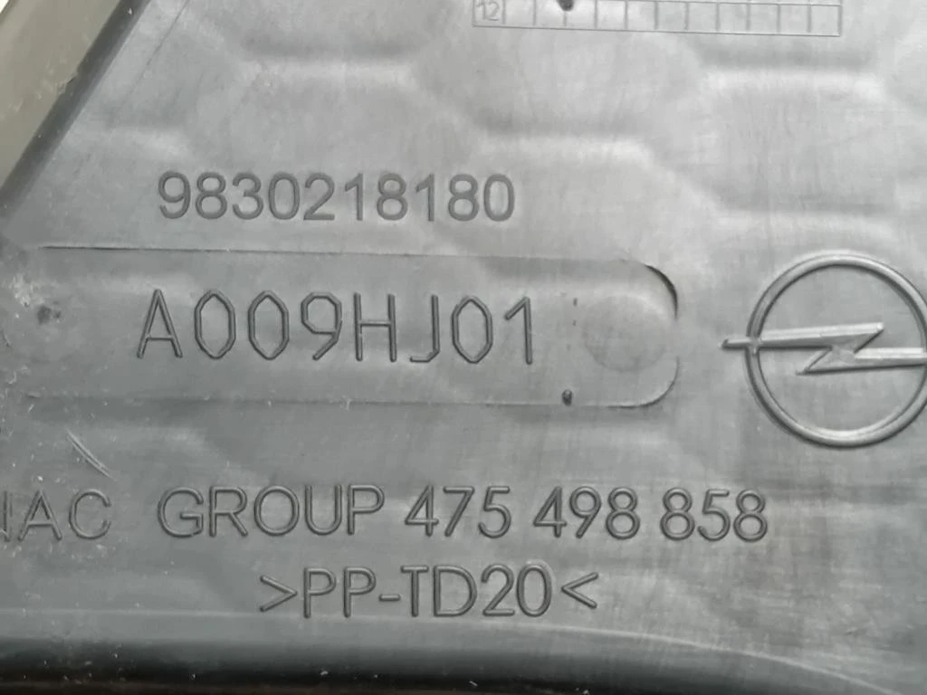 Cornice Fendinebbia DX 9830218180 Opel Corsa F 2019