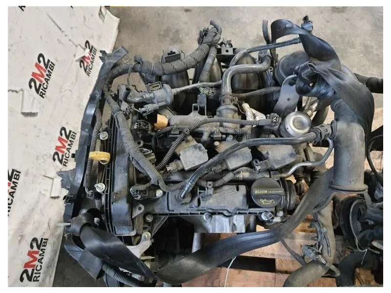 Motore Semicompleto MOTORE FORD P4JA P4JB P4JC P4JD 10 BENZINA Ford Fiesta VII 2021