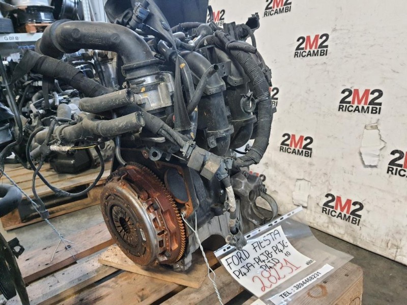 Motore Semicompleto MOTORE FORD P4JA P4JB P4JC P4JD 10 BENZINA Ford Fiesta VII 2021