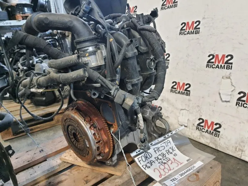 Motore Semicompleto MOTORE FORD P4JA P4JB P4JC P4JD 10 BENZINA Ford Fiesta VII 2021